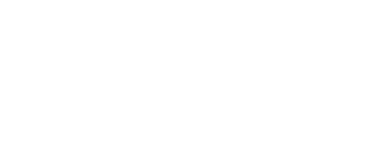 Government of Flanders